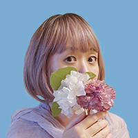 朝菜先生画像