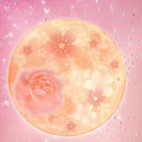 桜月（サクラヅキ）先生画像