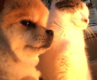 ココからのお便り先生画像