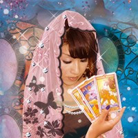 蓮宝（レンホウ）先生画像