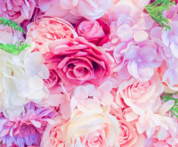 ☆みゅう☆愛と癒しをあなたに先生画像