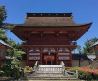 祈祷霊媒師⚛️アグネス　神官家系霊能力者先生画像