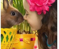 Lily　リリー先生画像