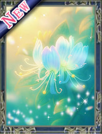 晨光斐波（シンコウヒナミ）先生画像