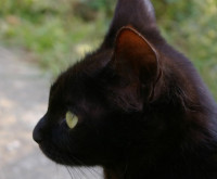 KIRIA☆季世。先生画像