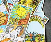 蘭世（らんぜ）先生画像