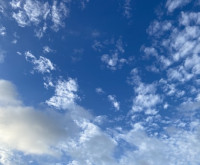 占い師  花奈先生画像