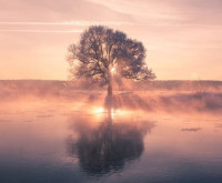 JESSICA Ray先生画像